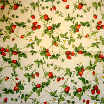 055 Beeren - 3-lagig - Paw